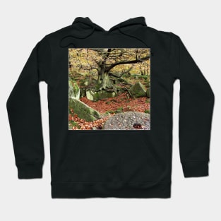 The Old Man of the Woods Hoodie